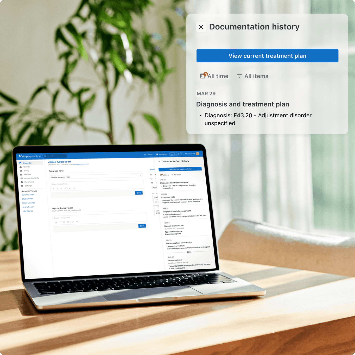 laptop showing client documentation history in occupational therapy notes software